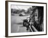 Far Away From Home-Tomasz Solinski-Framed Photographic Print