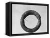 Faraday's Ring of Iron-null-Framed Stretched Canvas