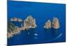 Faraglioni, Island of Capri, Campania, Italy, Europe-Neil Farrin-Mounted Photographic Print