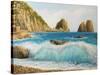 Faraglioni On Island Capri-kirilstanchev-Stretched Canvas