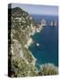 Faraglioni Rocks, Capri, Campania, Italy-Walter Bibikow-Stretched Canvas