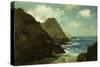 Farallon Islands-Albert Bierstadt-Stretched Canvas