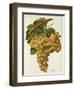 Farana Grape-J. Troncy-Framed Giclee Print