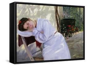 Faraway Thoughts-Carl Pippich-Framed Stretched Canvas