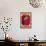 Farenheit 451-Ray Bradbury-Framed Stretched Canvas displayed on a wall