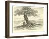 "Farewell-Tree" Between San Sebastian and Cuzco-Édouard Riou-Framed Giclee Print