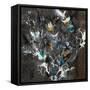 FarFalla Magic-K. Nari-Framed Stretched Canvas