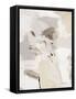 Framed Canvas