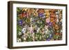 Faries, Fairies-Maggie Vandewalle-Framed Art Print