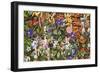 Faries, Fairies-Maggie Vandewalle-Framed Art Print