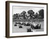 Farina leads the field in his Alfa Romeo 159 during Daily Express Trophy, Silverstone-null-Framed Photographic Print