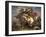 Farinata Degli Uberti, a 13th Century Florentine Ghibelline Leader, at the Battle of Serchio-Giuseppe Sabatelli-Framed Giclee Print