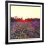 Farley Sunset, 2012-Helen White-Framed Giclee Print