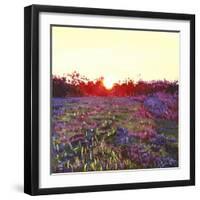 Farley Sunset, 2012-Helen White-Framed Giclee Print