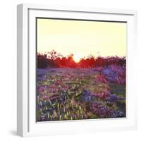 Farley Sunset, 2012-Helen White-Framed Giclee Print