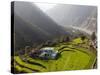 Farm Among a Green Fields Close to Rishikesh, Uttarkhand, India, Asia-null-Stretched Canvas