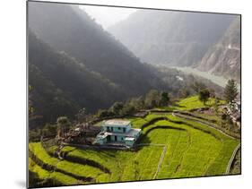 Farm Among a Green Fields Close to Rishikesh, Uttarkhand, India, Asia-null-Mounted Photographic Print