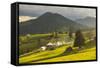 Farm and Haystacks in the Rural Transylvania Landscape at Sunset, Piatra Fantanele, Transylvania-Matthew Williams-Ellis-Framed Stretched Canvas