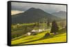 Farm and Haystacks in the Rural Transylvania Landscape at Sunset, Piatra Fantanele, Transylvania-Matthew Williams-Ellis-Framed Stretched Canvas