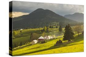 Farm and Haystacks in the Rural Transylvania Landscape at Sunset, Piatra Fantanele, Transylvania-Matthew Williams-Ellis-Stretched Canvas