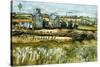 Farm And Sea-Joan Thewsey-Stretched Canvas