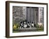 Farm Animal Stable-John Zaccheo-Framed Giclee Print