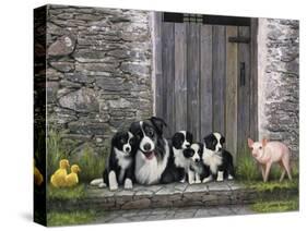 Farm Animal Stable-John Zaccheo-Stretched Canvas