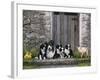 Farm Animal Stable-John Zaccheo-Framed Giclee Print