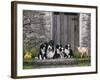 Farm Animal Stable-John Zaccheo-Framed Giclee Print