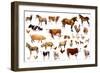 Farm Animals, 2004-Alex Williams-Framed Giclee Print