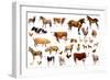 Farm Animals, 2004-Alex Williams-Framed Giclee Print