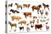 Farm Animals, 2004-Alex Williams-Stretched Canvas