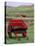 Farm Animals and Wheelbarrow, Kilmuir, Isle of Skye, Scotland-Gavriel Jecan-Stretched Canvas