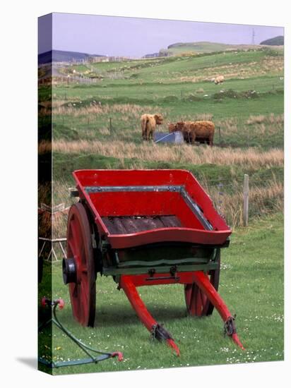 Farm Animals and Wheelbarrow, Kilmuir, Isle of Skye, Scotland-Gavriel Jecan-Stretched Canvas