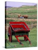 Farm Animals and Wheelbarrow, Kilmuir, Isle of Skye, Scotland-Gavriel Jecan-Stretched Canvas