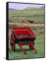 Farm Animals and Wheelbarrow, Kilmuir, Isle of Skye, Scotland-Gavriel Jecan-Framed Stretched Canvas