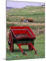 Farm Animals and Wheelbarrow, Kilmuir, Isle of Skye, Scotland-Gavriel Jecan-Mounted Photographic Print