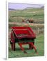 Farm Animals and Wheelbarrow, Kilmuir, Isle of Skye, Scotland-Gavriel Jecan-Framed Photographic Print