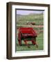 Farm Animals and Wheelbarrow, Kilmuir, Isle of Skye, Scotland-Gavriel Jecan-Framed Photographic Print