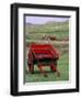 Farm Animals and Wheelbarrow, Kilmuir, Isle of Skye, Scotland-Gavriel Jecan-Framed Photographic Print