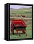 Farm Animals and Wheelbarrow, Kilmuir, Isle of Skye, Scotland-Gavriel Jecan-Framed Stretched Canvas