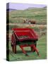 Farm Animals and Wheelbarrow, Kilmuir, Isle of Skye, Scotland-Gavriel Jecan-Stretched Canvas