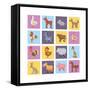 Farm Animals Set-Macrovector-Framed Stretched Canvas