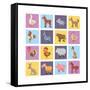 Farm Animals Set-Macrovector-Framed Stretched Canvas