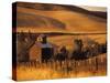 Farm, Bend, Oregon, USA-Walter Bibikow-Stretched Canvas