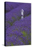 Farm Birdhouse with Rows of Lavender at Lavender Festival, Sequim, Washington, USA-Merrill Images-Stretched Canvas