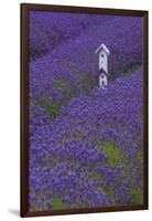 Farm Birdhouse with Rows of Lavender at Lavender Festival, Sequim, Washington, USA-Merrill Images-Framed Premium Photographic Print