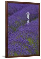 Farm Birdhouse with Rows of Lavender at Lavender Festival, Sequim, Washington, USA-Merrill Images-Framed Premium Photographic Print