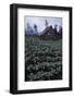 Farm Building In Bromo-Tengger-Semeru National Park, Java, Indonesia-Daniel Gomez-Framed Photographic Print