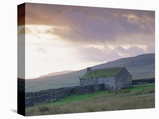 Farm Building, Swaledale, Yorkshire Dales National Park, Yorkshire, England, UK, Europe-Mark Mawson-Stretched Canvas